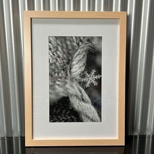 Pottery Barn Wendover Art Group Framed Snowflake Photo